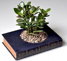 Repurposed books planter toptenz.net