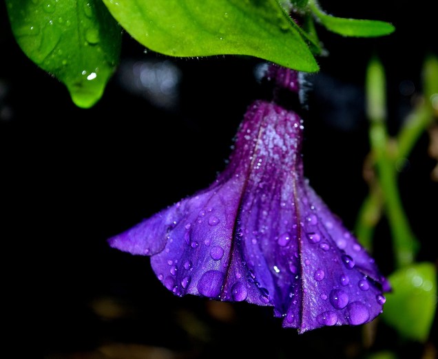 BRMB and Pier Marquette 8-29-2015 084