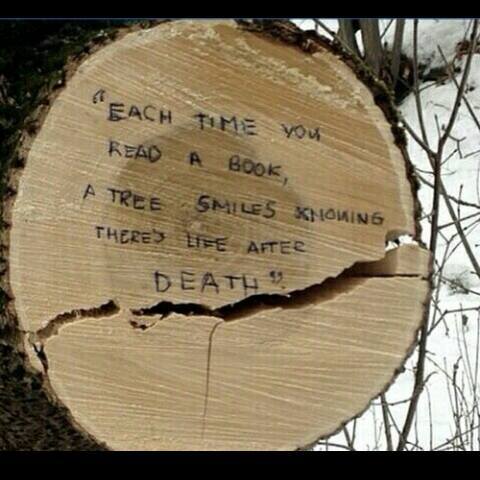 Each Time You Read a Book Image