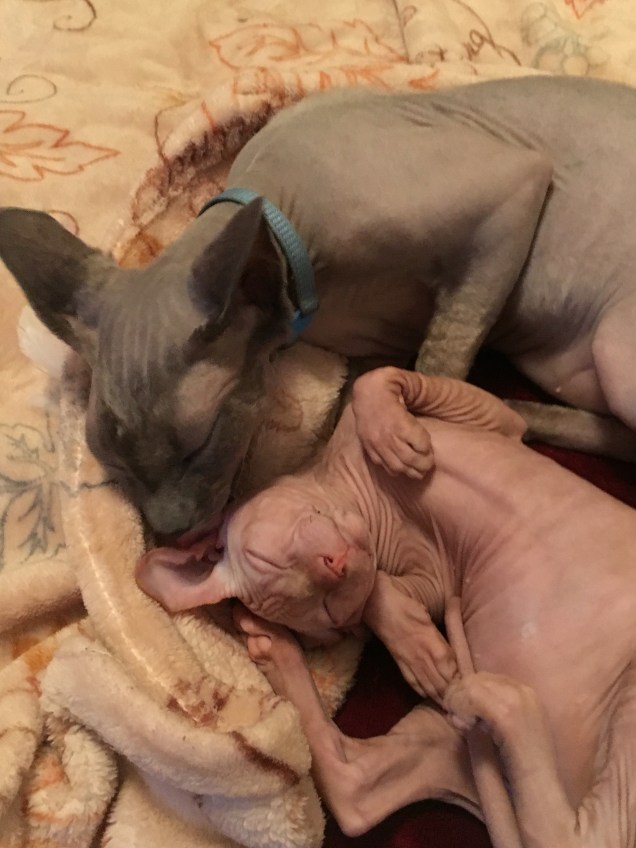 Benny and Franklin 1