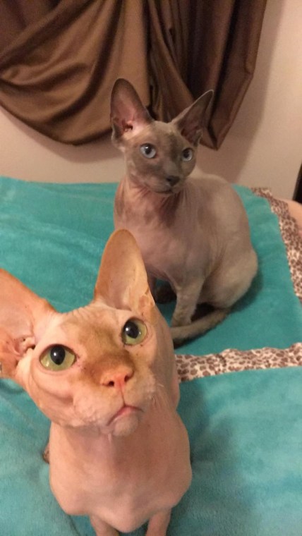 Benjamin and Franklin